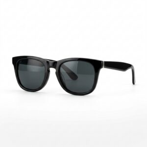 Wayfarer Negro